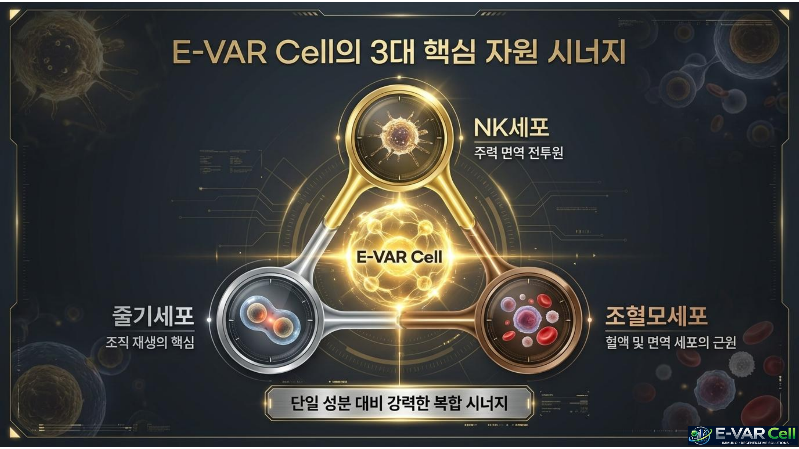 E-VAR Cell 슬라이드 5