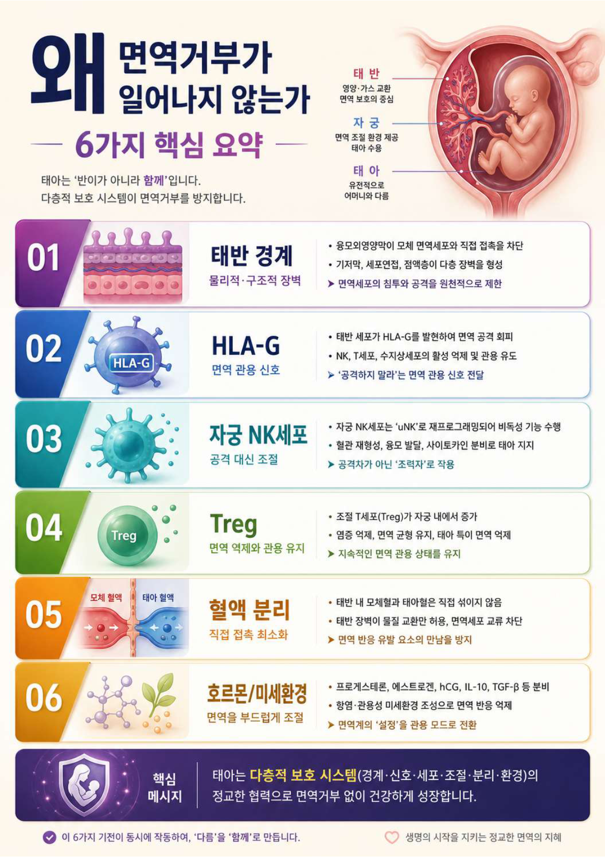 왜 면역거부가 일어나지 않는가 - 6가지 핵심 요약